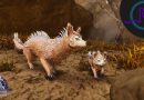 Searching for the New Drakeling and Veilwyn! – ARK: Survival Ascended Extinction LE143