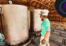 Smarter Cooking! – ARK: Survival Ascended Astraeos LE217