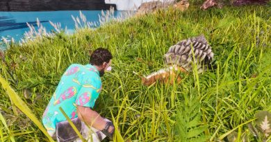 Taming the Slowest Creature in ARK! – ARK: Survival Ascended Astraeos LE230